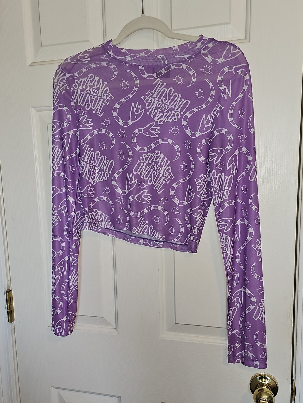Beetlejuice Crop Long-Sleeve Unusual And Strange Sheer Tee